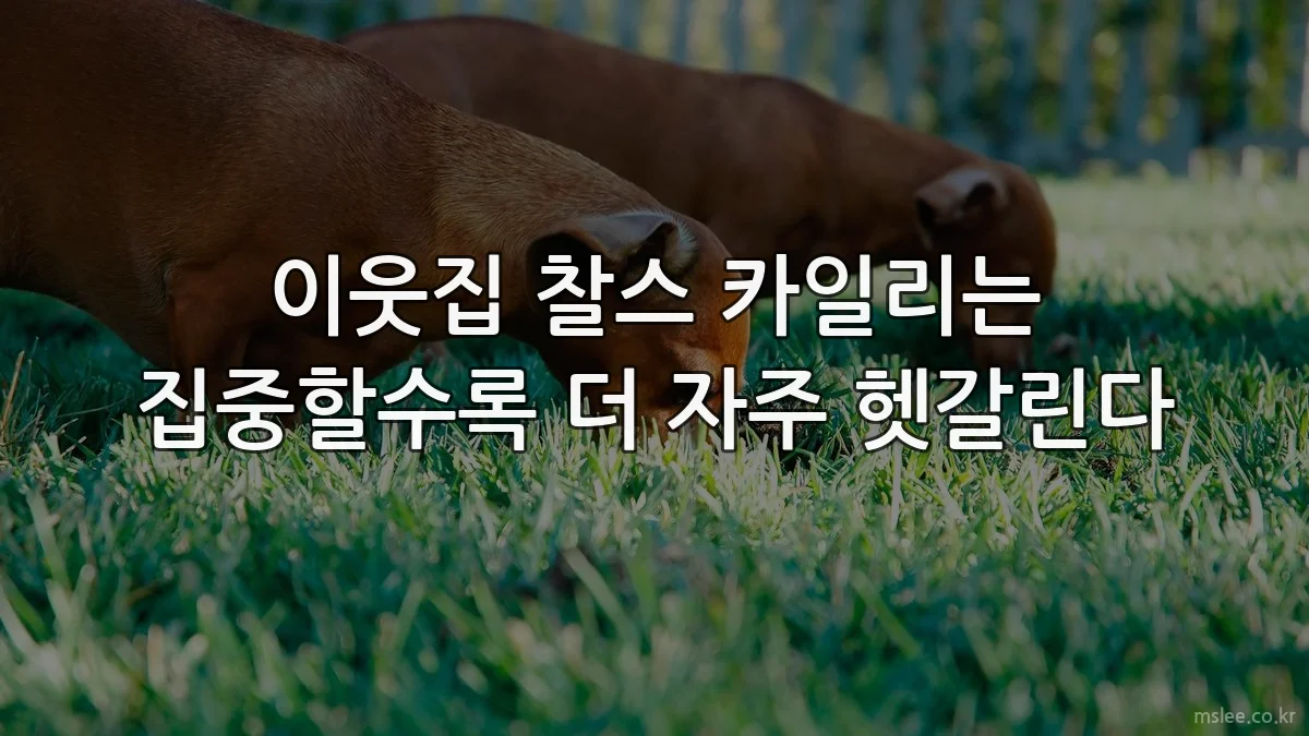 이웃집 찰스 카일리는 집중할수록 더 자주 헷갈린다