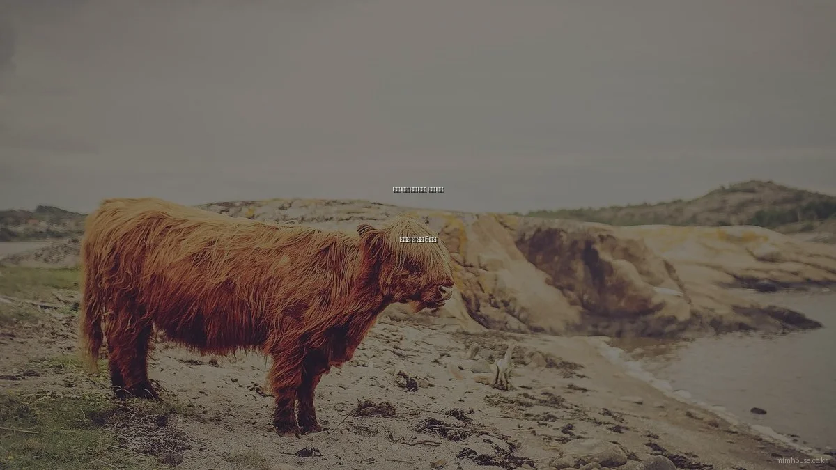 주택 건축 실패 사례: 절대 하지 말아야 할 실수 5가지