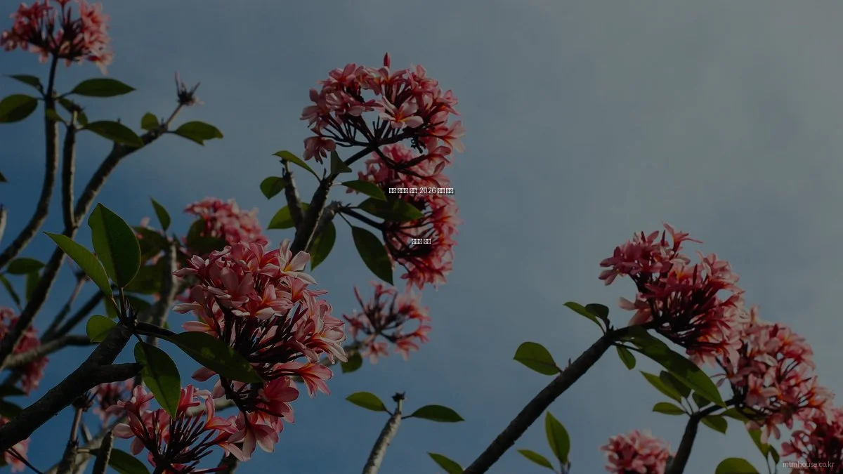 주택 건축의 혁신: 2026 최신 기술 트렌드 분석