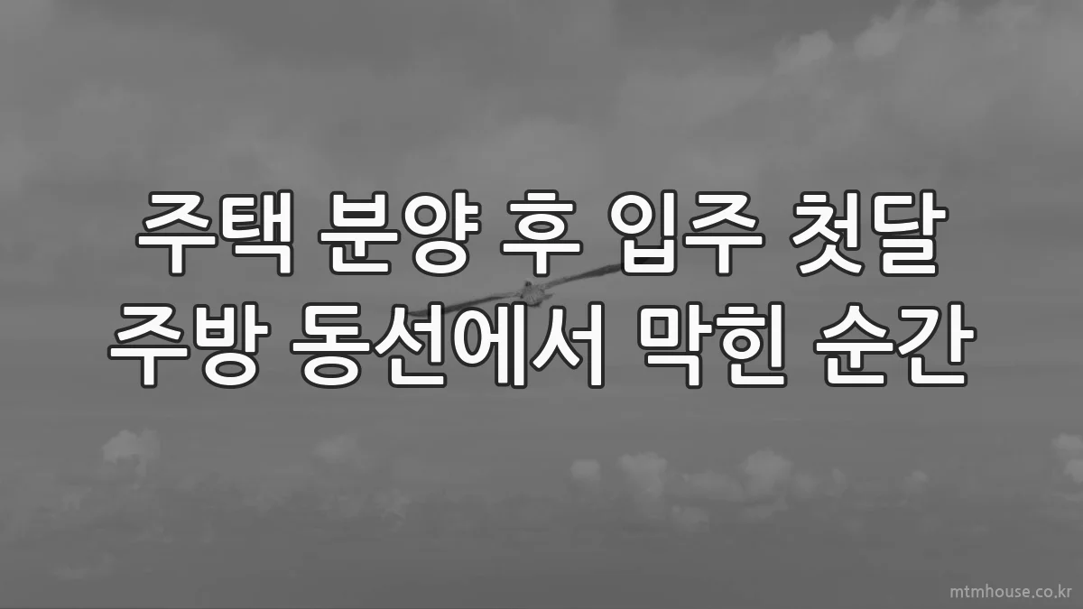 주택 분양 후 입주 첫달 주방 동선에서 막힌 순간