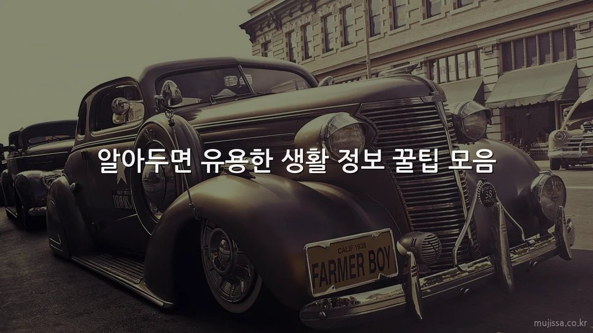 알아두면 유용한 생활 정보 꿀팁 모음