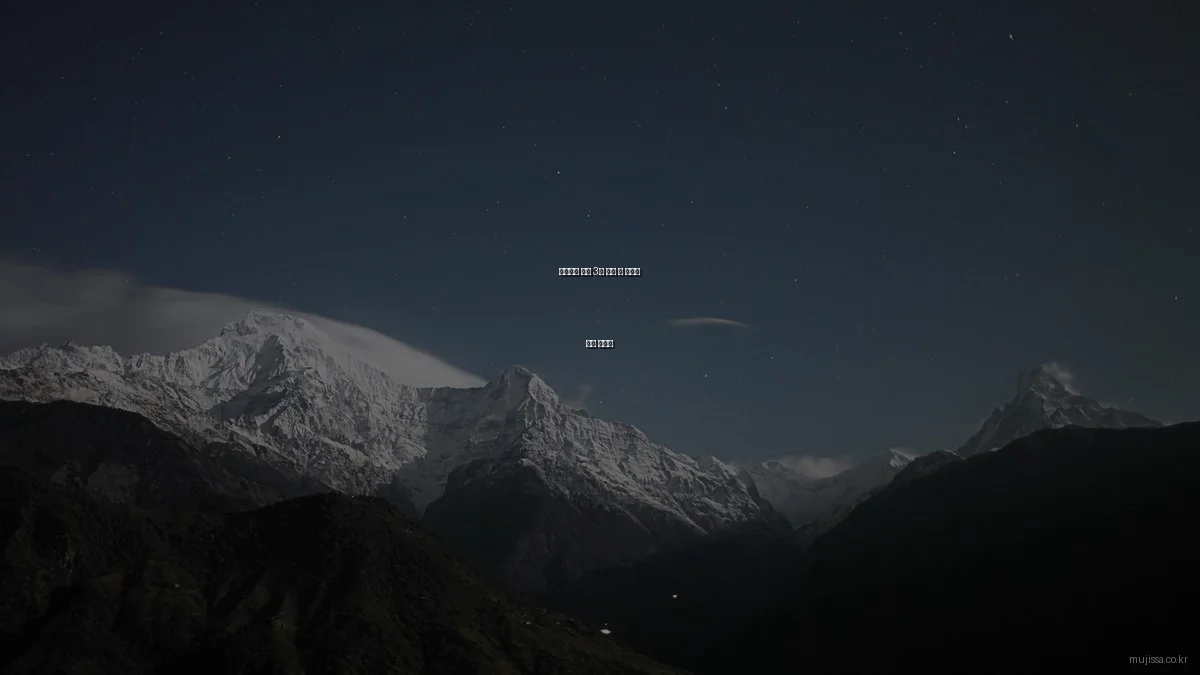 생활정보 어플 3종 비교 및 상황별 추천 가이드