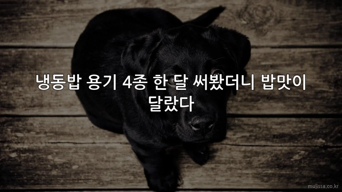 냉동밥 용기 4종 한 달 써봤더니 밥맛이 달랐다