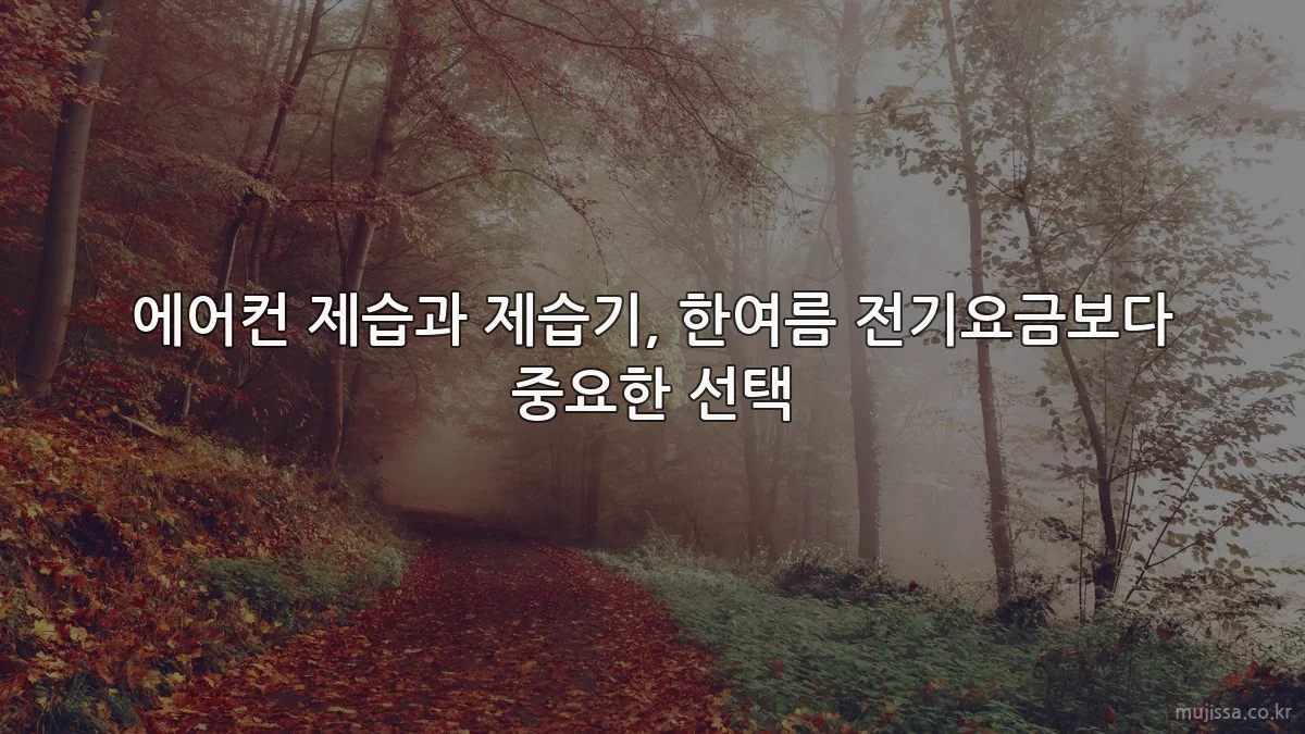 에어컨 제습과 제습기, 한여름 전기요금보다 중요한 선택
