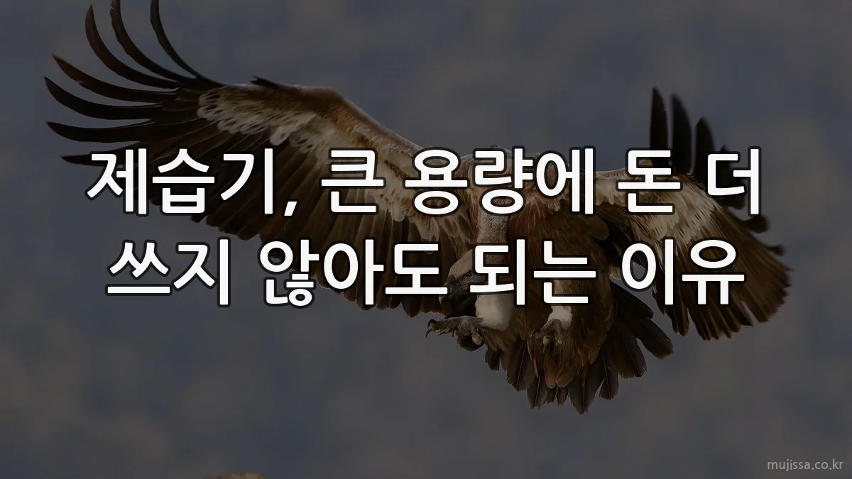 제습기, 큰 용량에 돈 더 쓰지 않아도 되는 이유