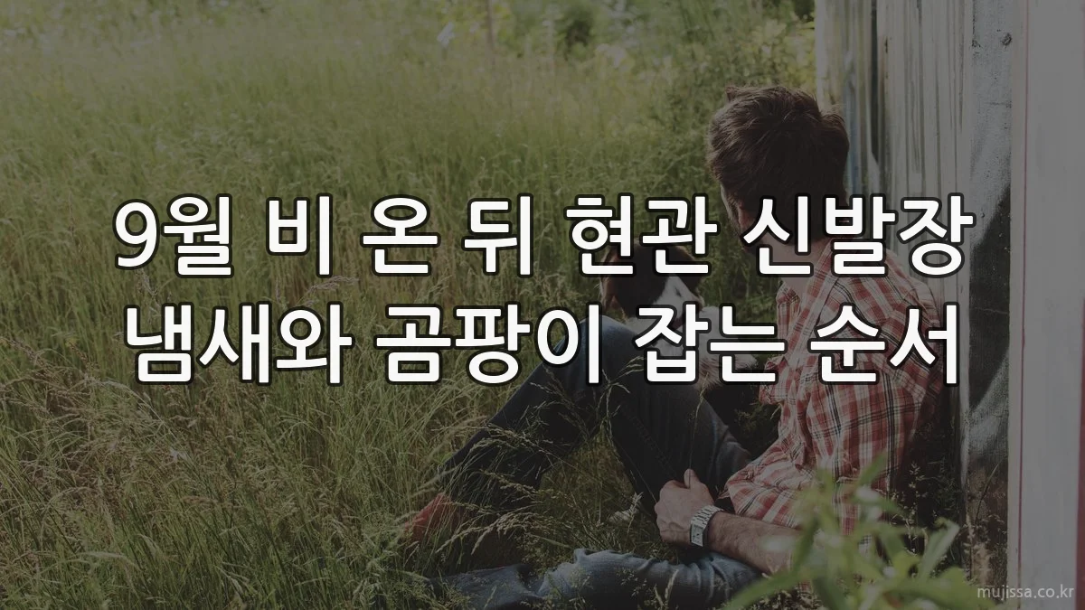 9월 비 온 뒤 현관 신발장 냄새와 곰팡이 잡는 순서