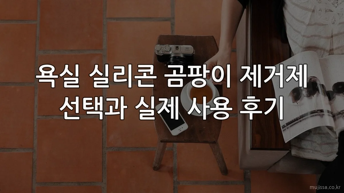 욕실 실리콘 곰팡이 제거제 선택과 실제 사용 후기