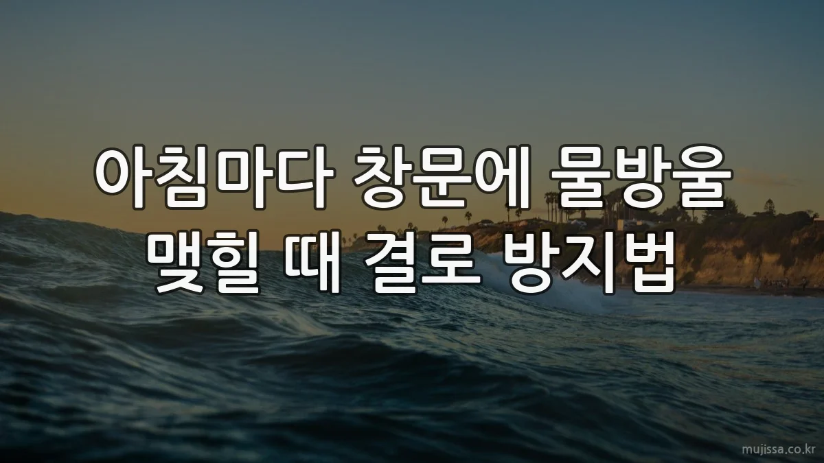 아침마다 창문에 물방울 맺힐 때 결로 방지법