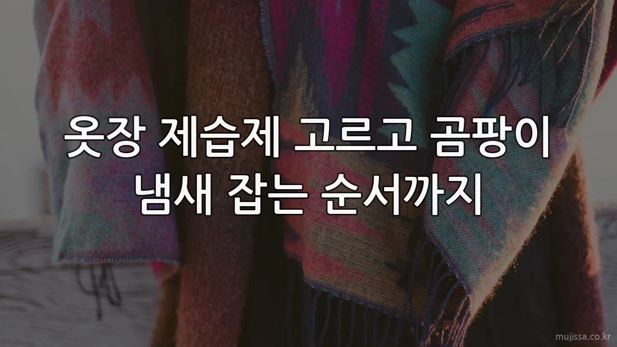옷장 제습제 고르고 곰팡이 냄새 잡는 순서까지