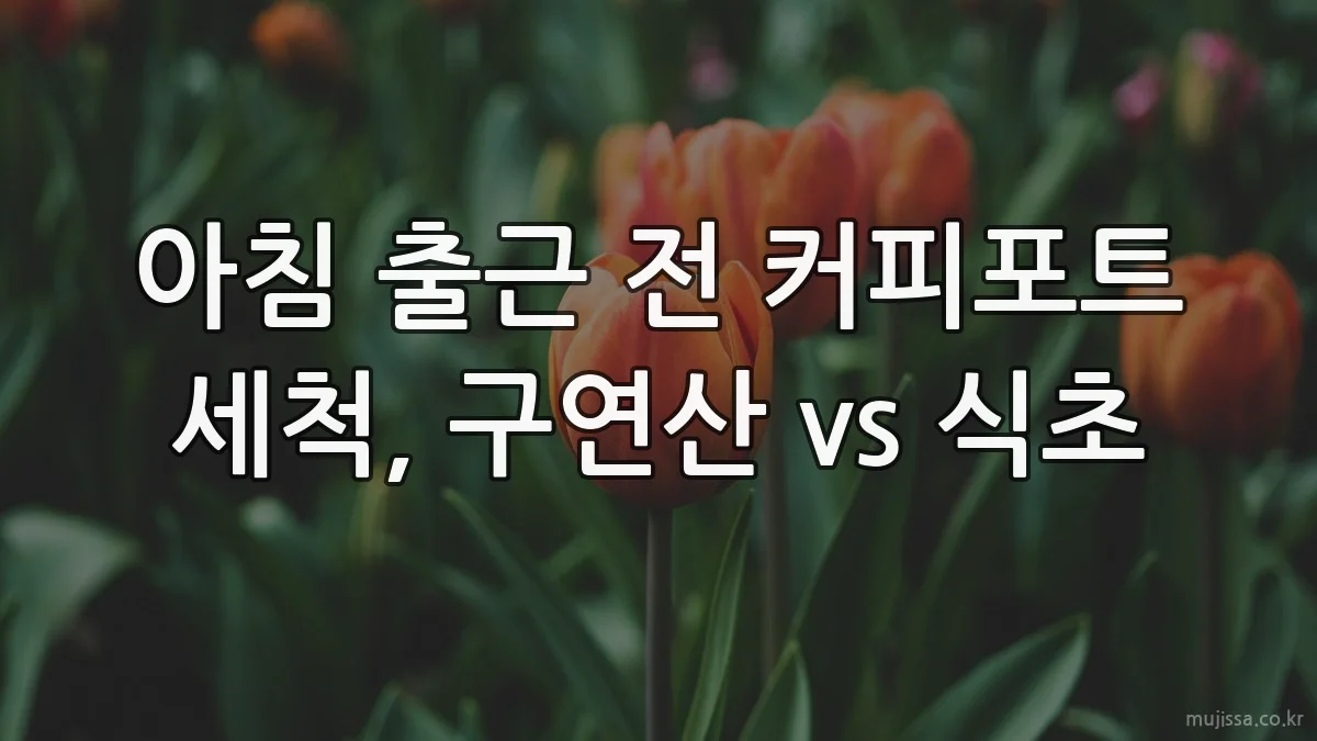 아침 출근 전 커피포트 세척, 구연산 vs 식초