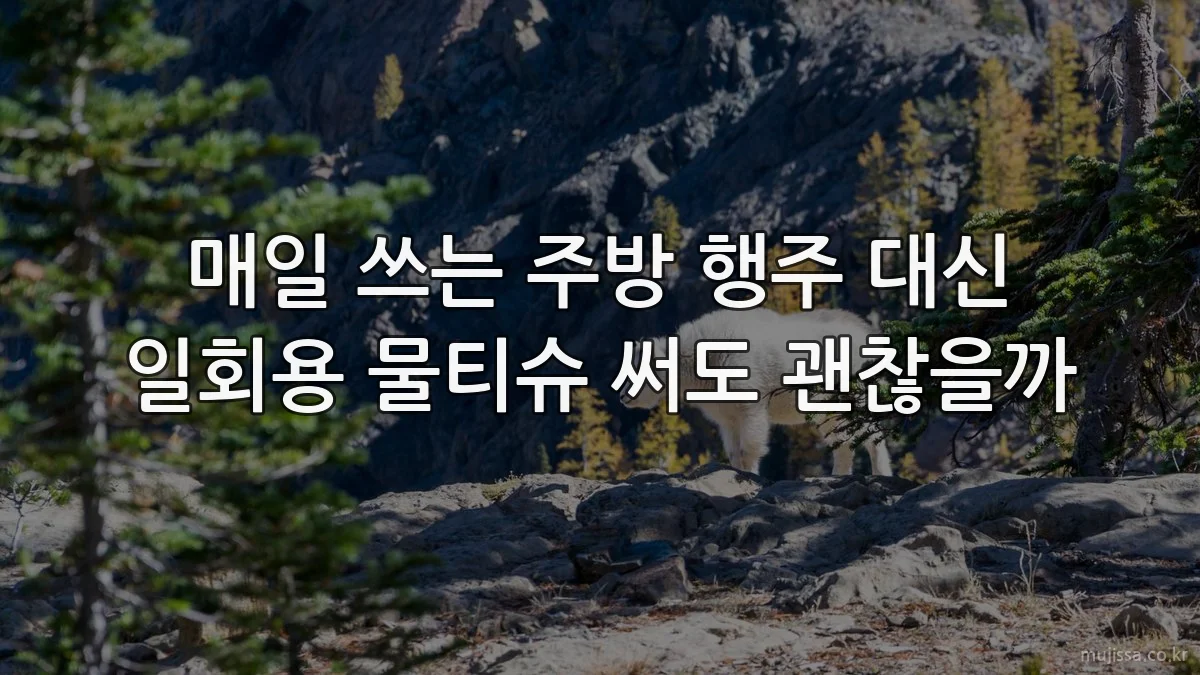 매일 쓰는 주방 행주 대신 일회용 물티슈 써도 괜찮을까