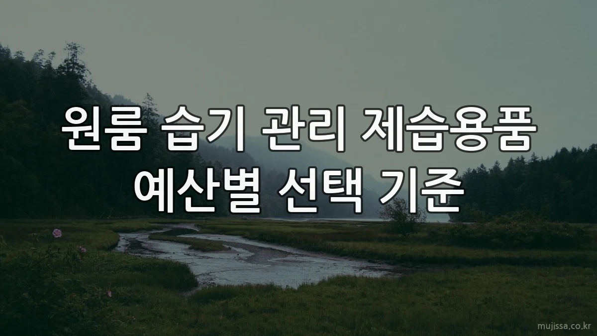 원룸 습기 관리 제습용품 예산별 선택 기준