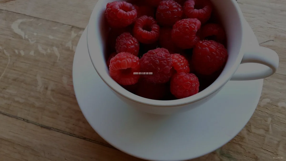 초보자를 위한 물 관리 기초 가이드