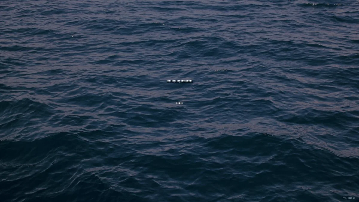 수자원 관리의 미래, 전문가 인터뷰로 탐구하다