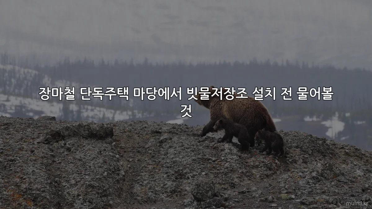 장마철 단독주택 마당에서 빗물저장조 설치 전 물어볼 것