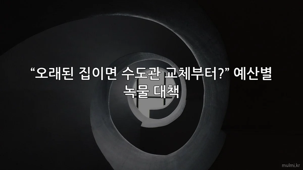 “오래된 집이면 수도관 교체부터?” 예산별 녹물 대책