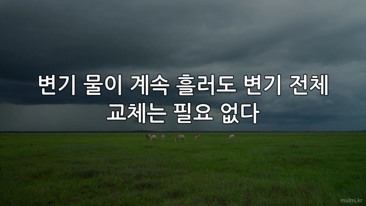 변기 물이 계속 흘러도 변기 전체 교체는 필요 없다
