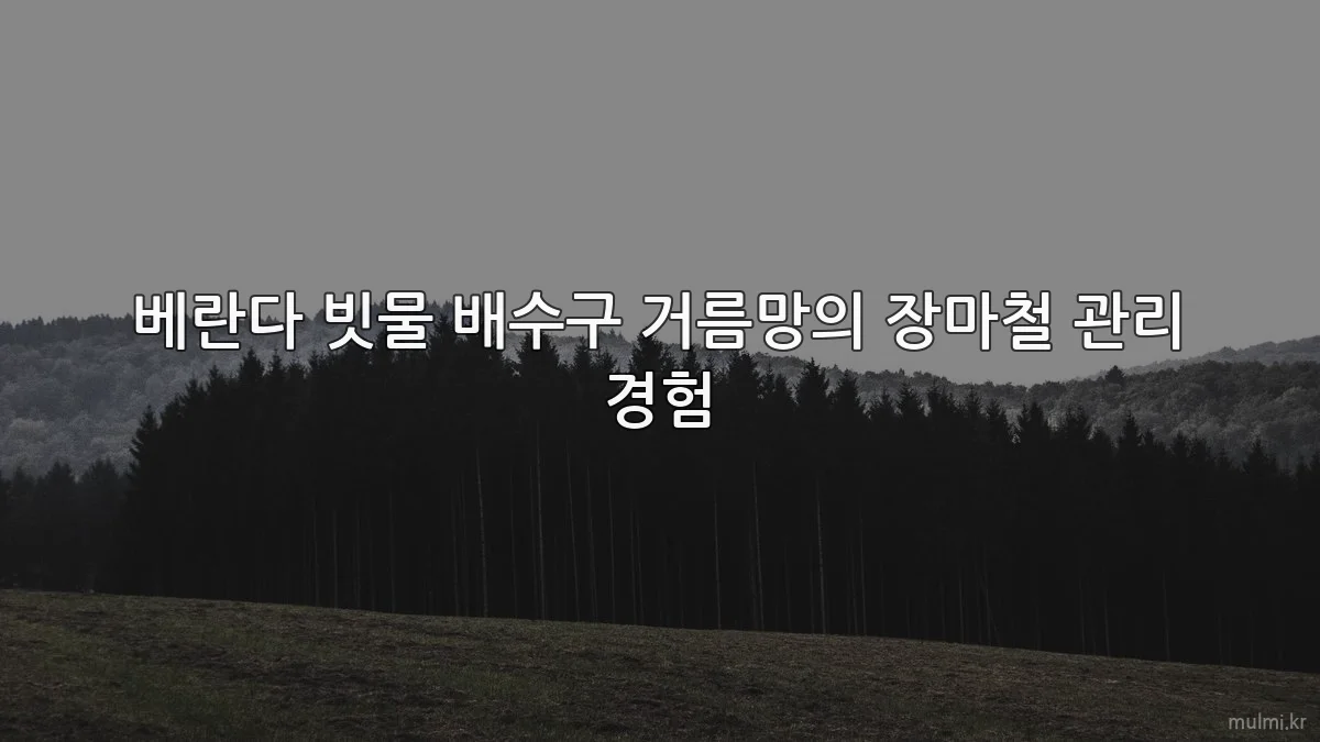 베란다 빗물 배수구 거름망의 장마철 관리 경험