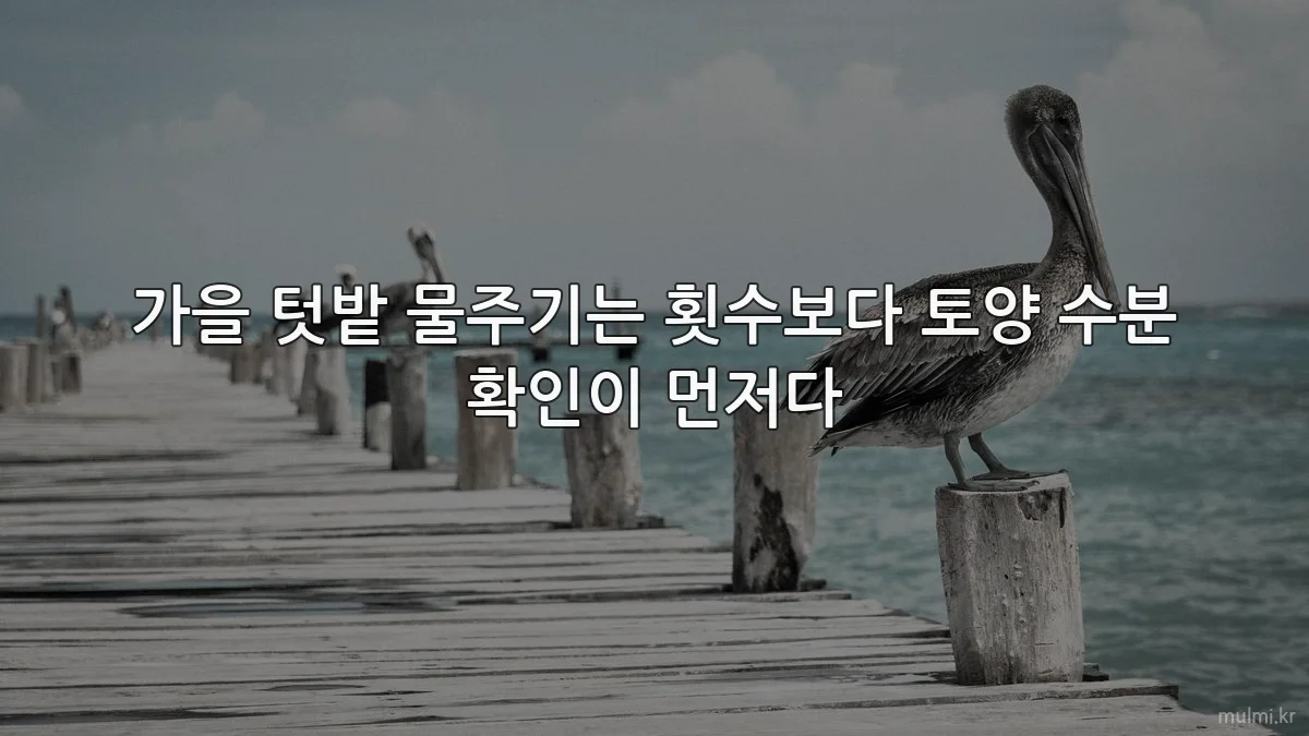 가을 텃밭 물주기는 횟수보다 토양 수분 확인이 먼저다