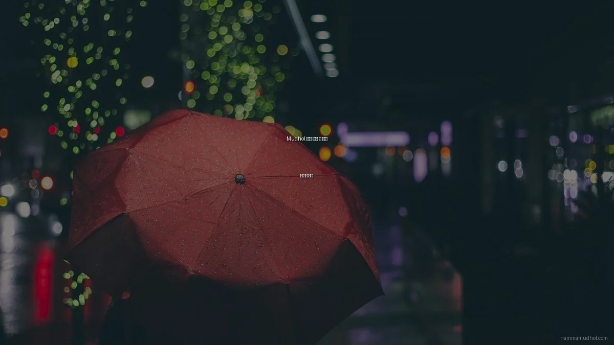 Mudhol 문화 체험 전 필수 체크리스트