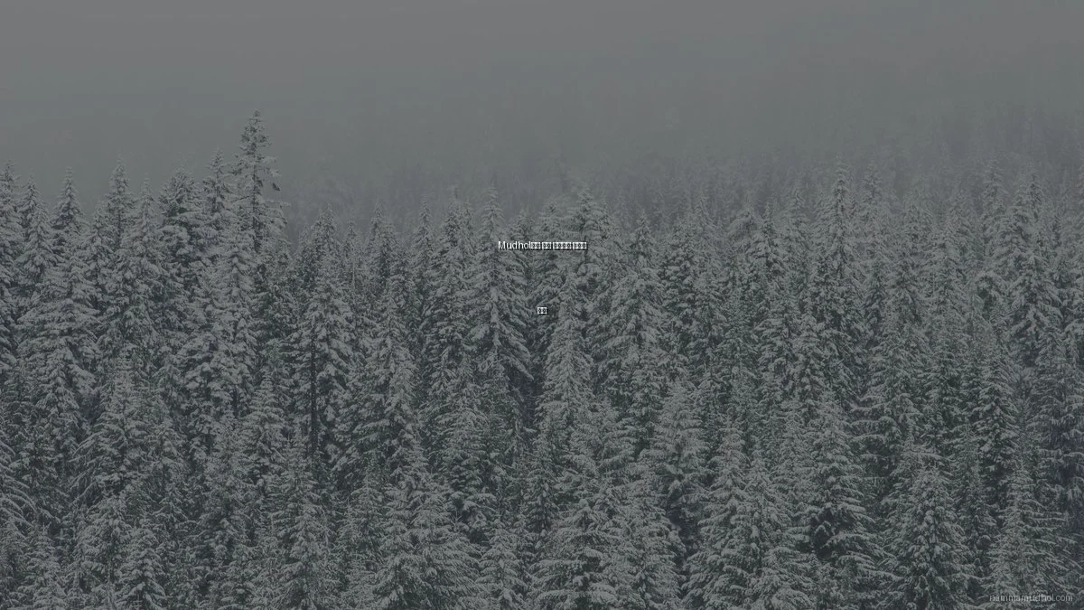 Mudhol에서 쉽게 실수하는 사례와 교훈