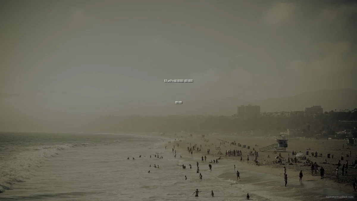 Mudhol의 디지털화: 기술 혁신과 미래 전망