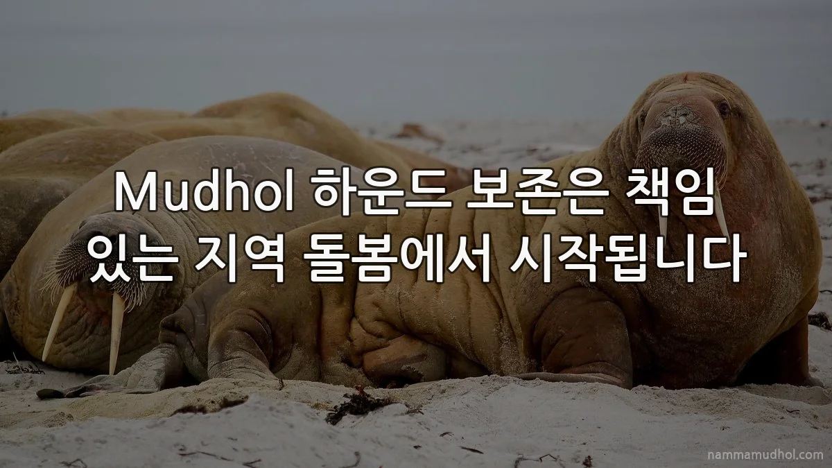 Mudhol 하운드 보존은 책임 있는 지역 돌봄에서 시작됩니다