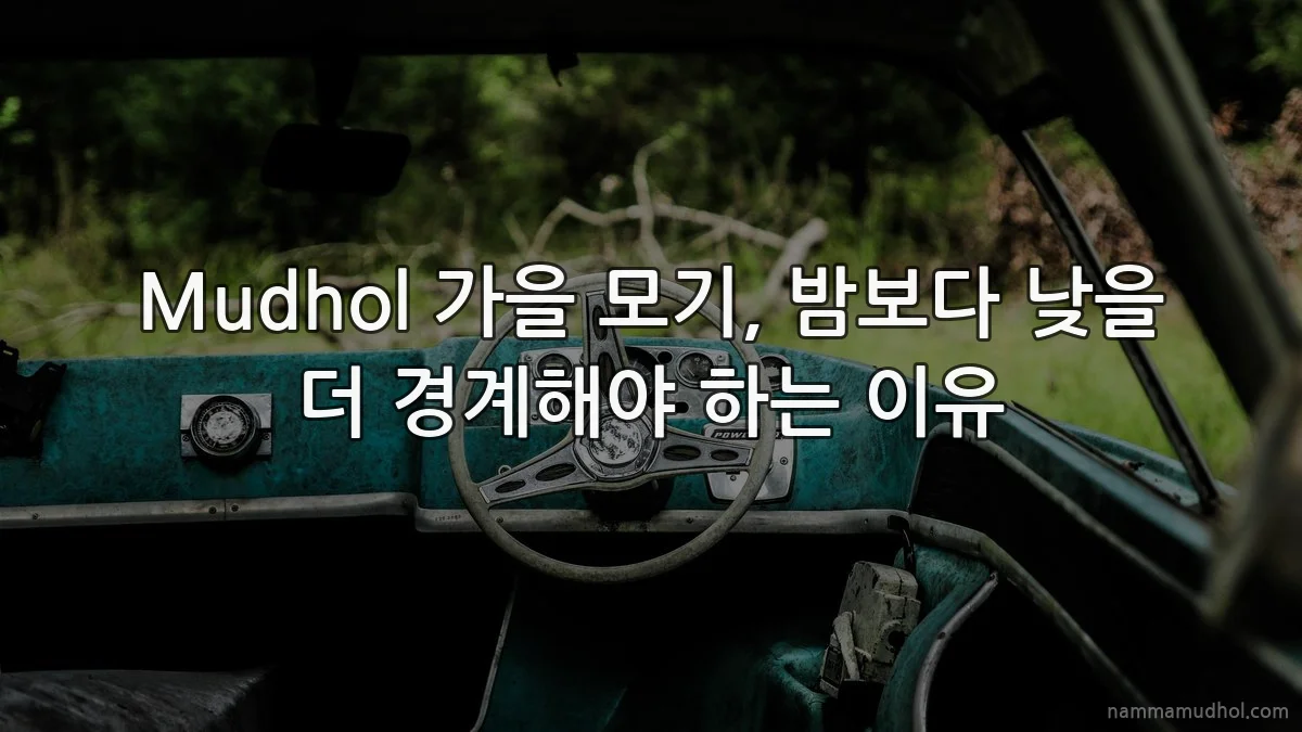 Mudhol 가을 모기, 밤보다 낮을 더 경계해야 하는 이유