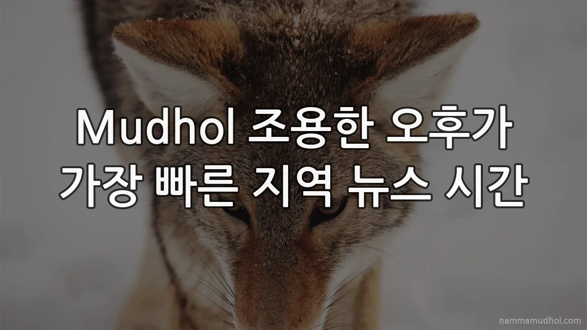 Mudhol 조용한 오후가 가장 빠른 지역 뉴스 시간