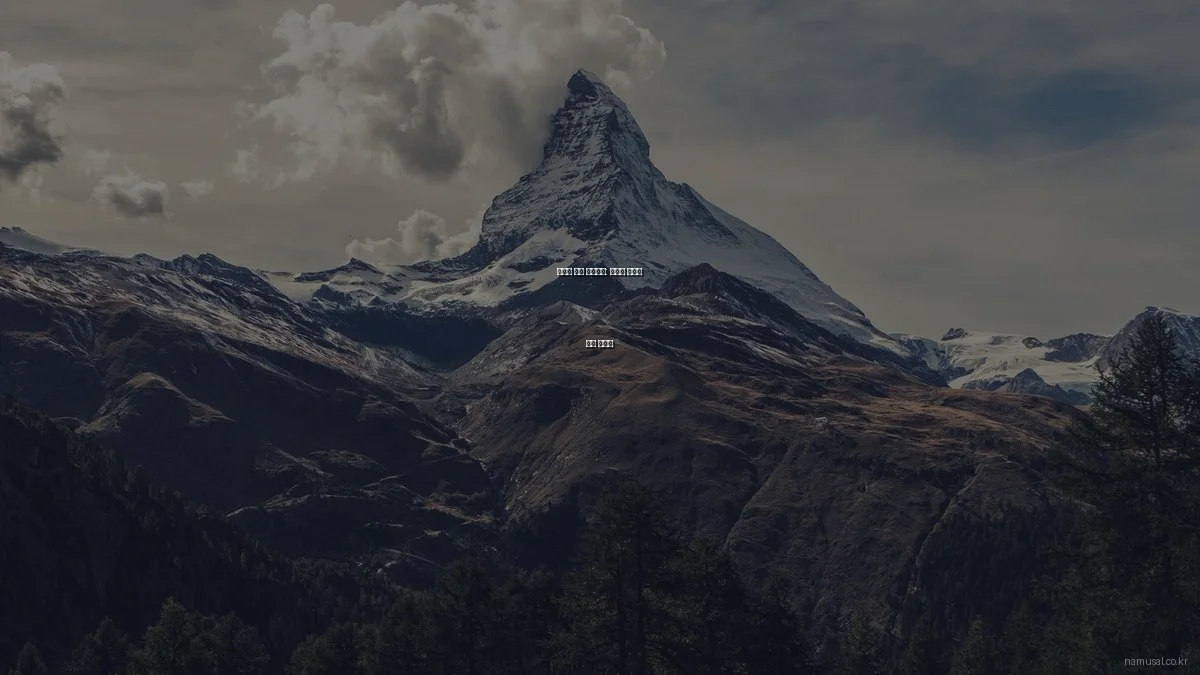 예산별 원목 인테리어: 가성비 최고의 선택 가이드