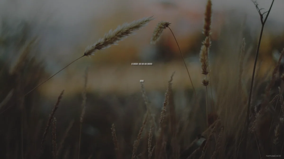 봄 인테리어: 원목 가구 활용 아이디어 총정리