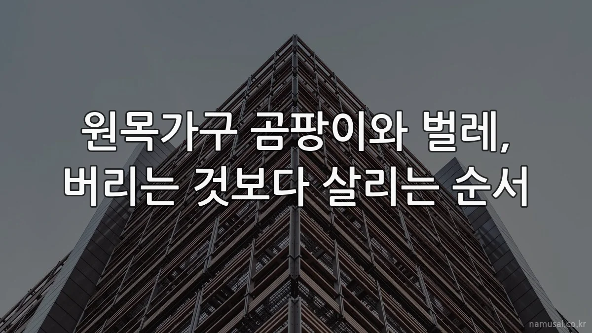 원목가구 곰팡이와 벌레, 버리는 것보다 살리는 순서