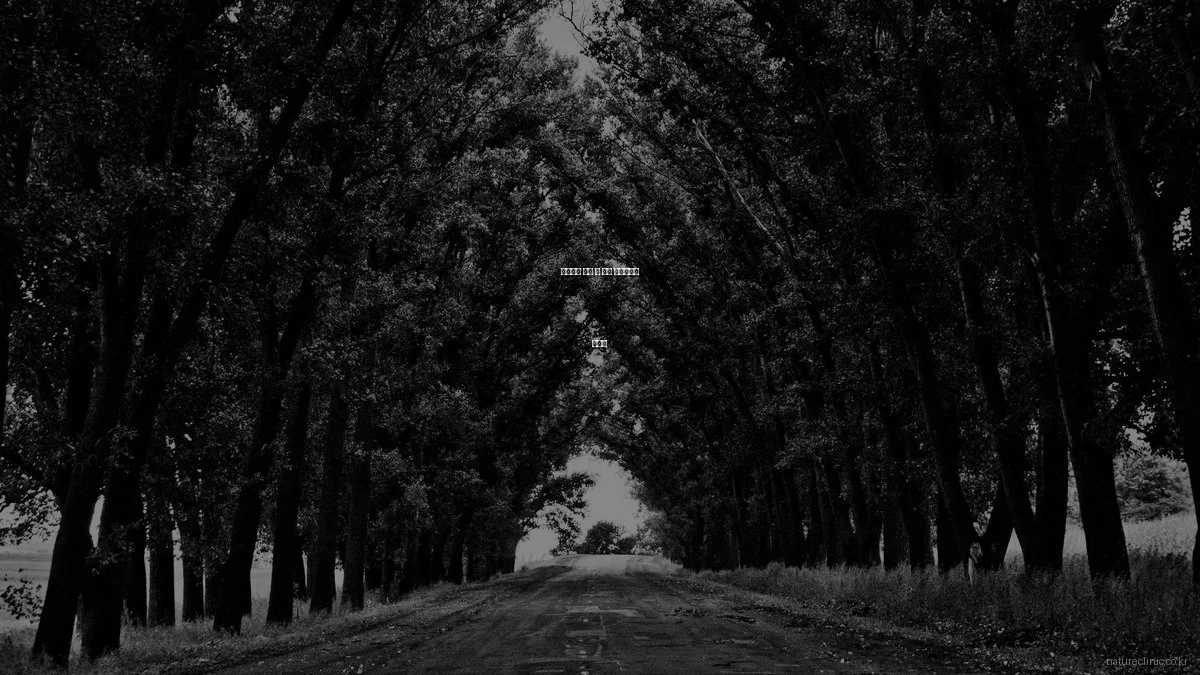 자연치유 시작 전 필수 체크리스트 가이드