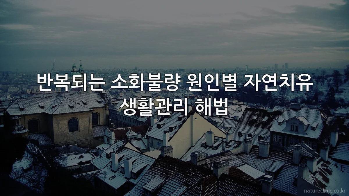 반복되는 소화불량 원인별 자연치유 생활관리 해법