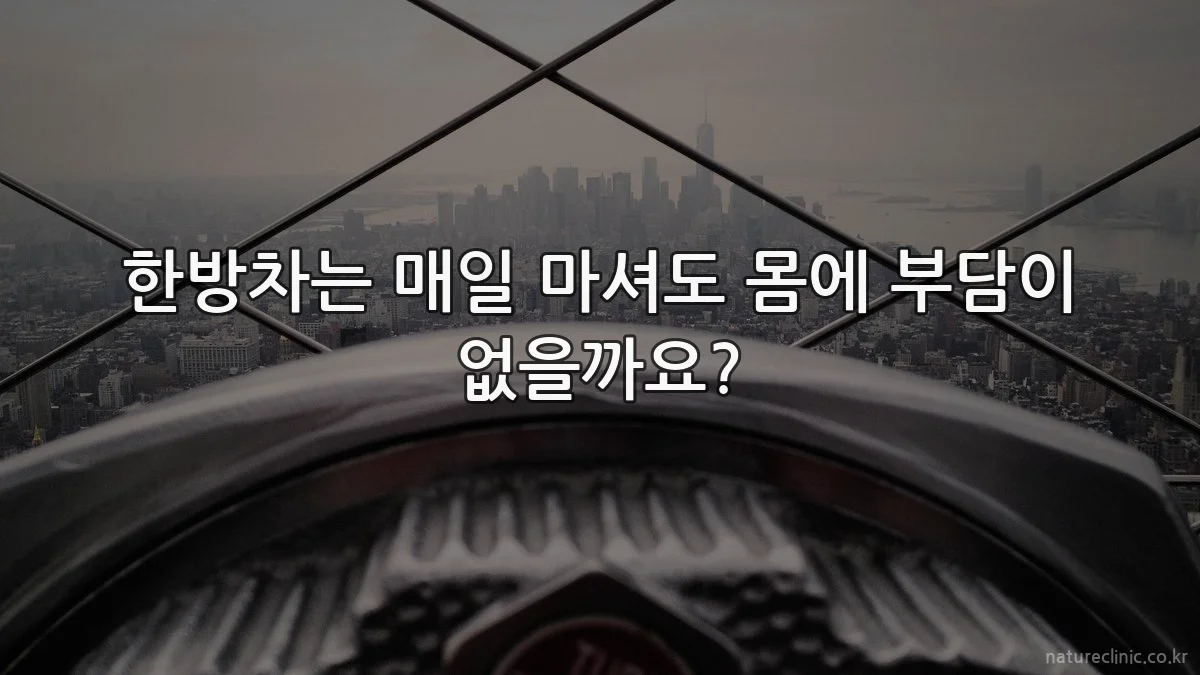 한방차는 매일 마셔도 몸에 부담이 없을까요?