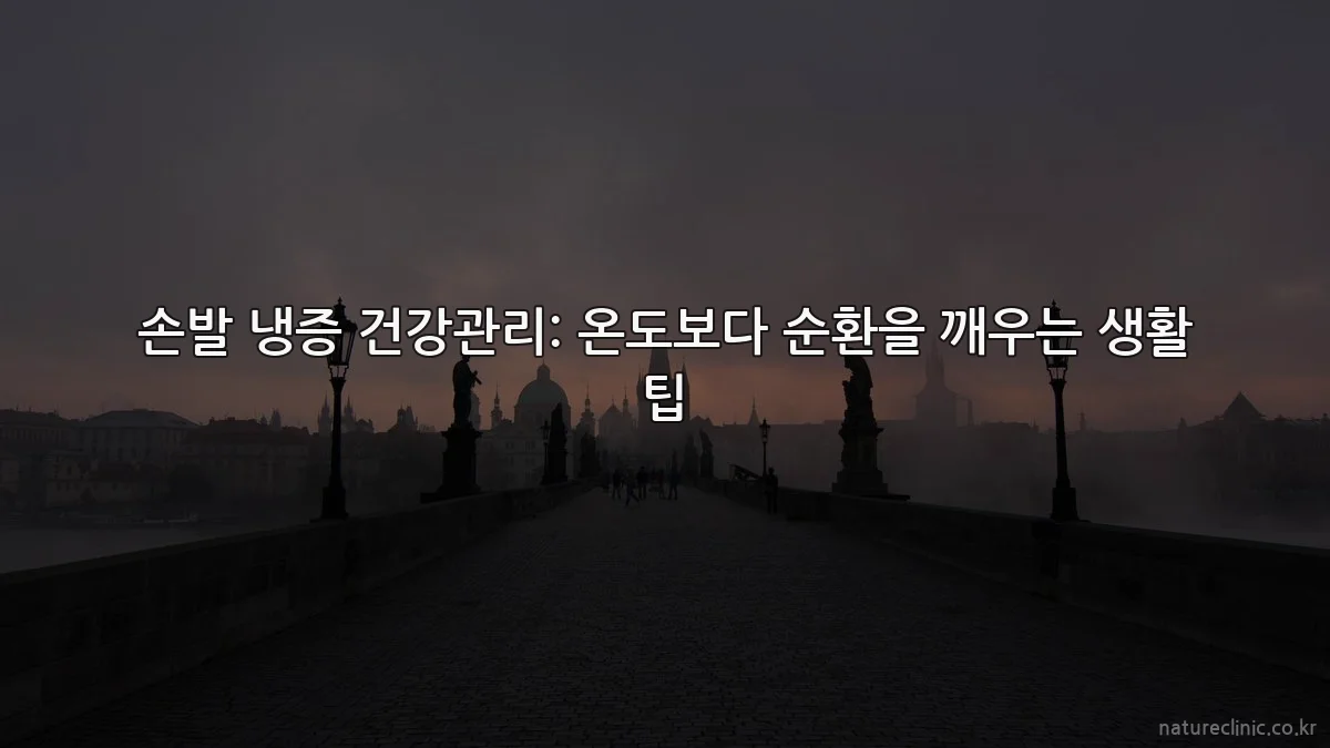 손발 냉증 건강관리: 온도보다 순환을 깨우는 생활 팁