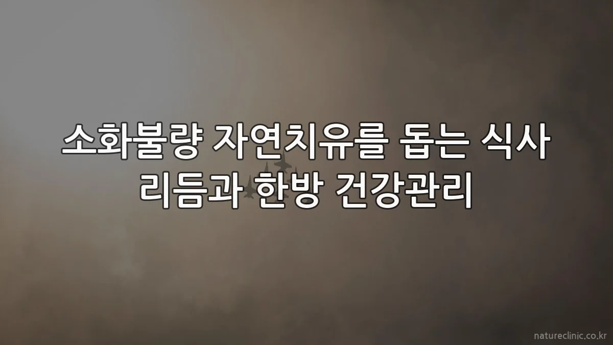소화불량 자연치유를 돕는 식사 리듬과 한방 건강관리