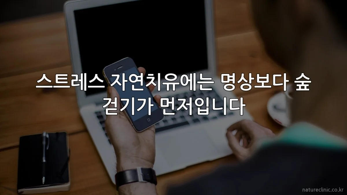 스트레스 자연치유에는 명상보다 숲 걷기가 먼저입니다
