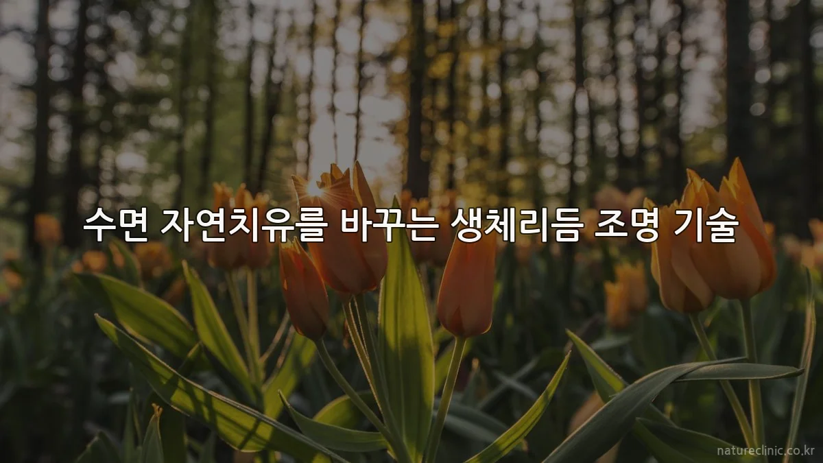 수면 자연치유를 바꾸는 생체리듬 조명 기술