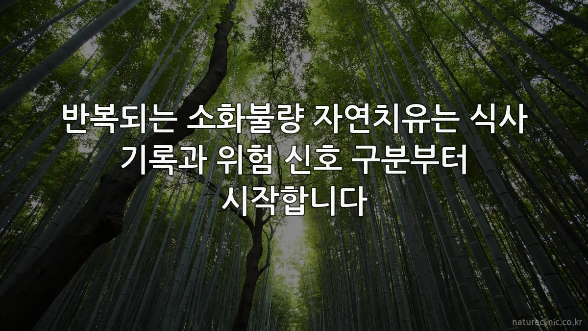 반복되는 소화불량 자연치유는 식사 기록과 위험 신호 구분부터 시작합니다