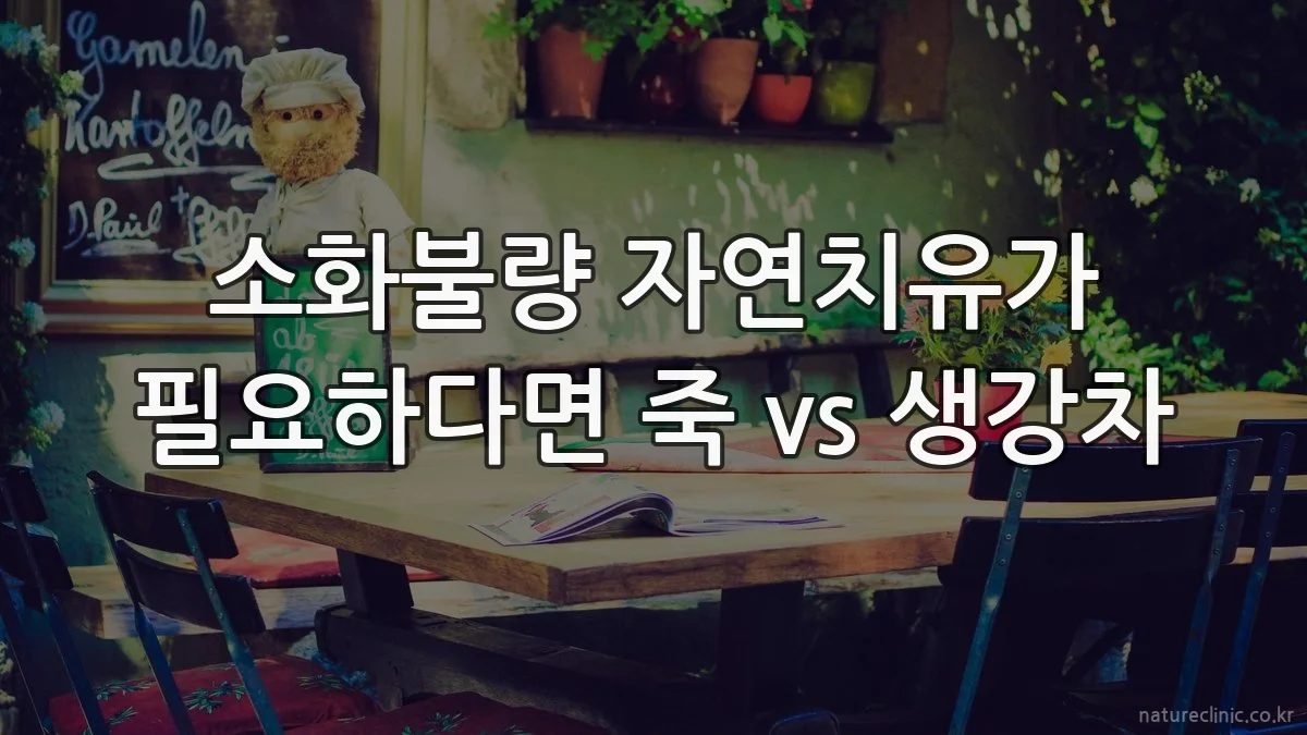 소화불량 자연치유가 필요하다면 죽 vs 생강차