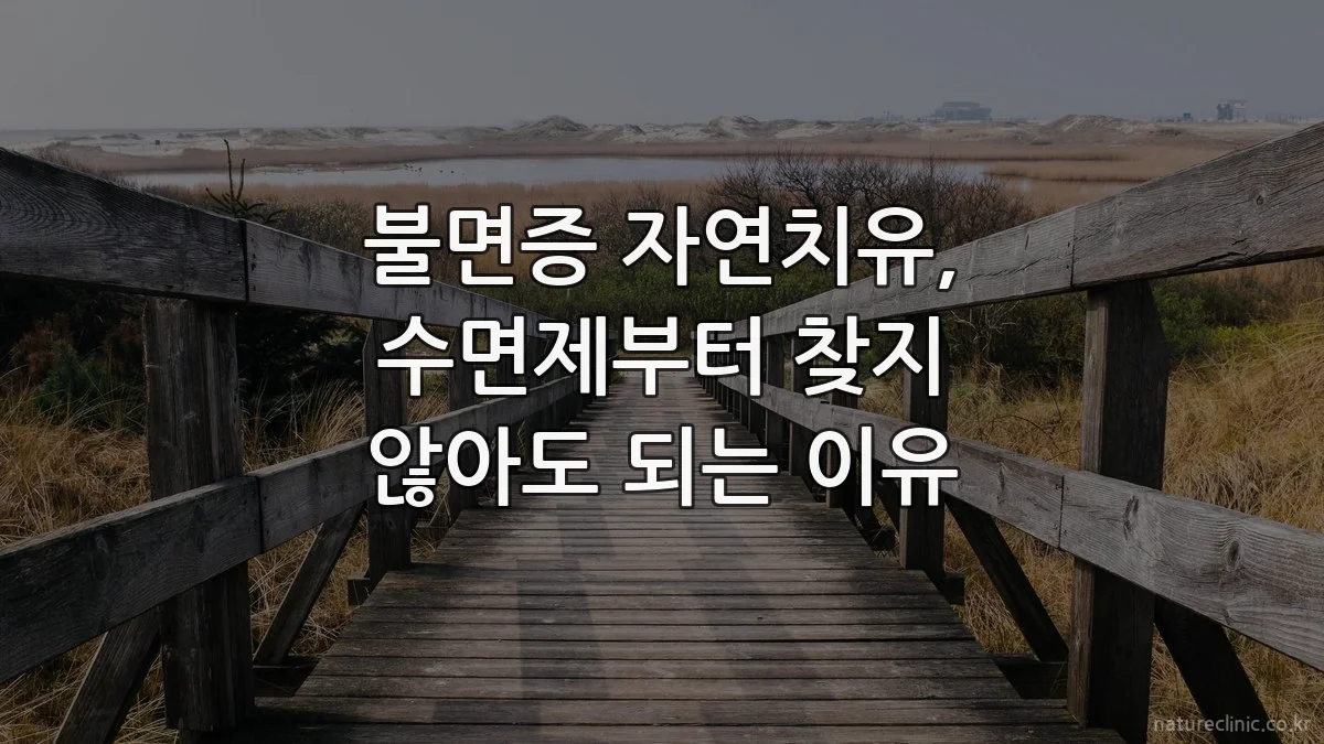 불면증 자연치유, 수면제부터 찾지 않아도 되는 이유