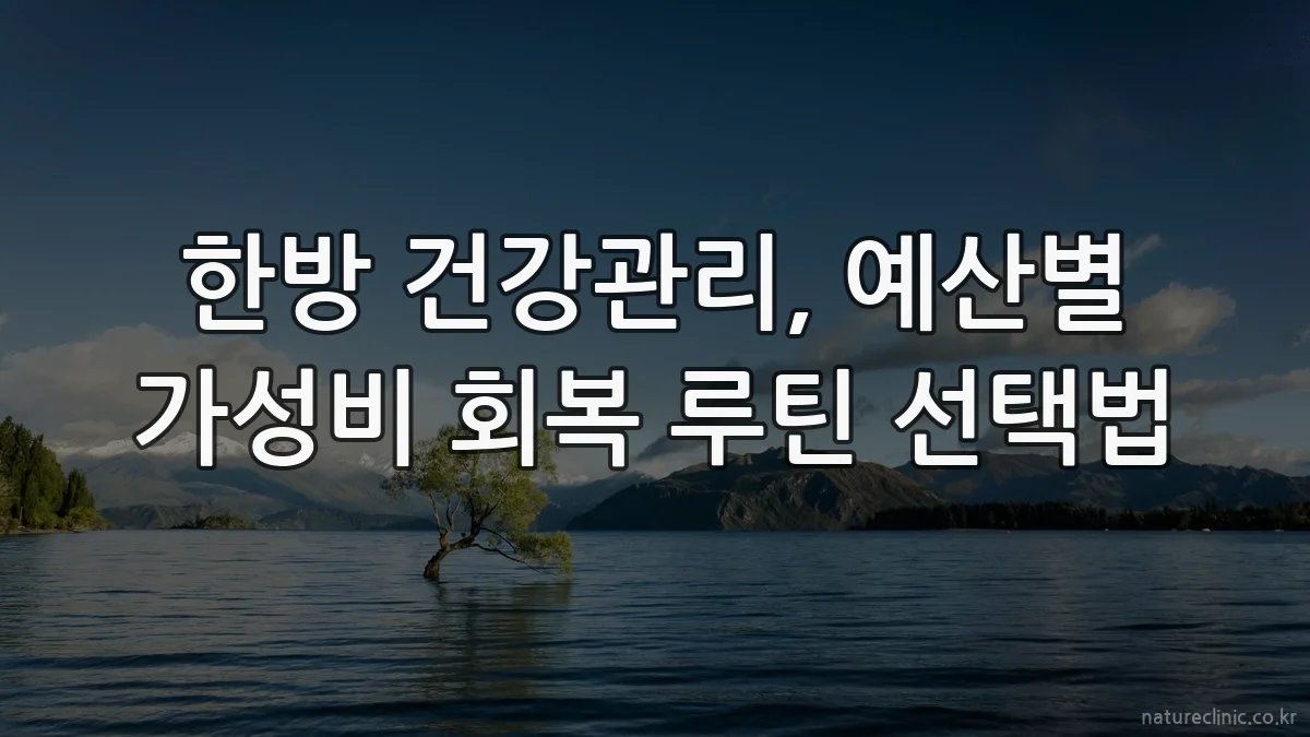 한방 건강관리, 예산별 가성비 회복 루틴 선택법