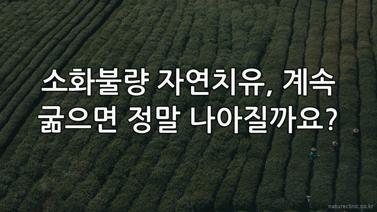 소화불량 자연치유, 계속 굶으면 정말 나아질까요?