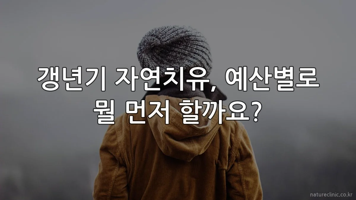 갱년기 자연치유, 예산별로 뭘 먼저 할까요?