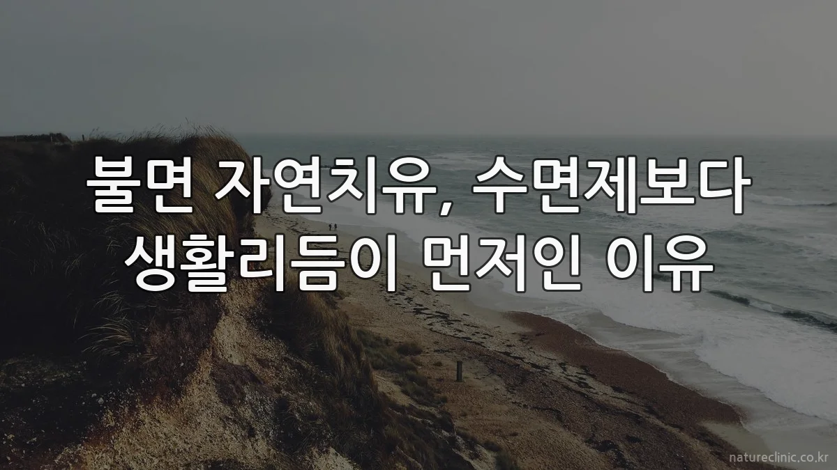 불면 자연치유, 수면제보다 생활리듬이 먼저인 이유