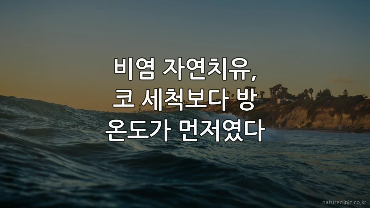 비염 자연치유, 코 세척보다 방 온도가 먼저였다