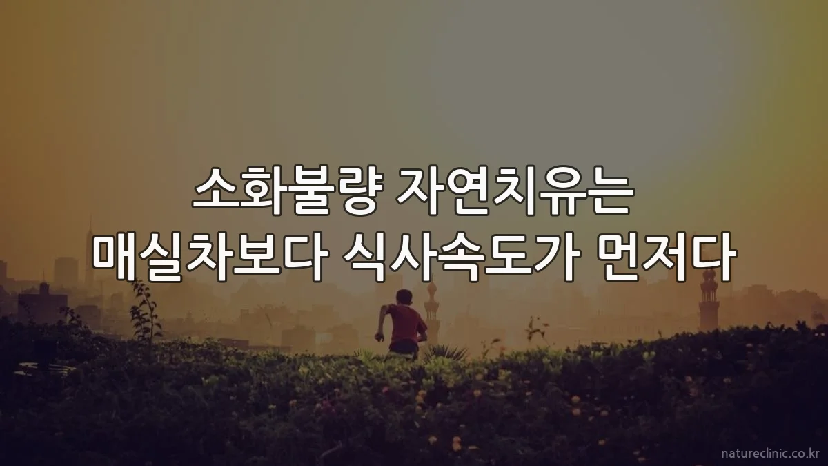 소화불량 자연치유는 매실차보다 식사속도가 먼저다