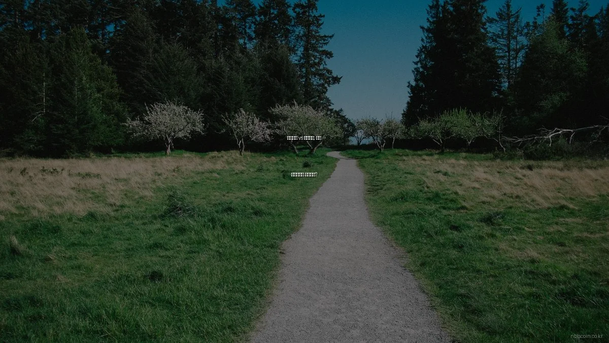 비트코인 vs 이더리움, 어떤 암호화폐를 선택할까?