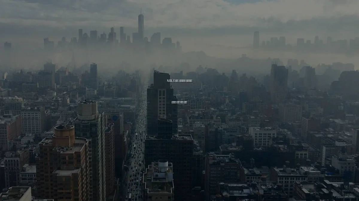 NBLS 코인, 효율적인 트레이딩 전략과 실제 사용 후기